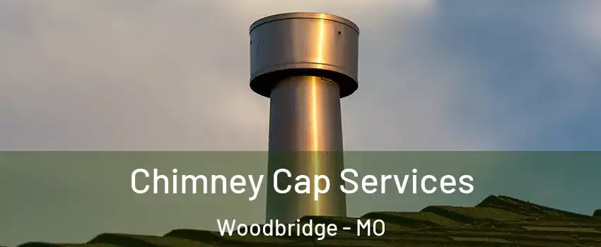 Chimney Cap Services Woodbridge - MO