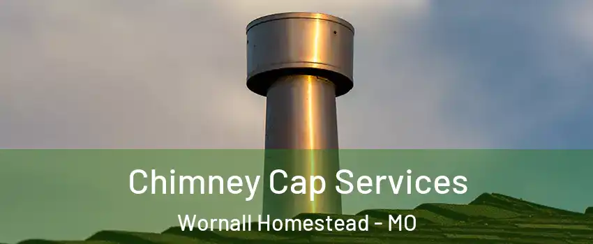 Chimney Cap Services Wornall Homestead - MO