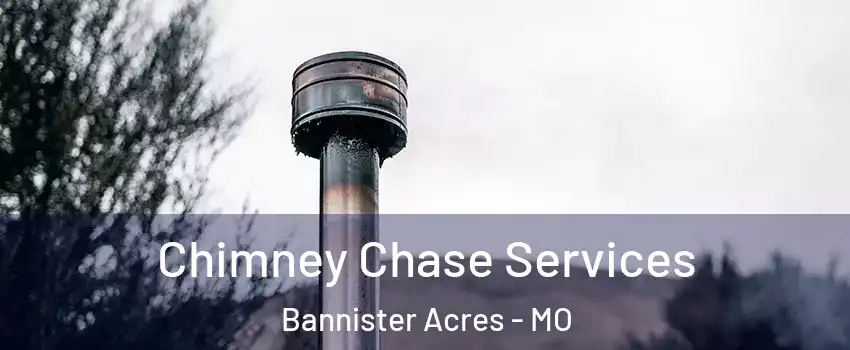 Chimney Chase Services Bannister Acres - MO