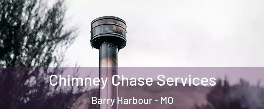 Chimney Chase Services Barry Harbour - MO