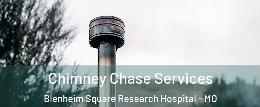 Chimney Chase Services Blenheim Square Research Hospital - MO