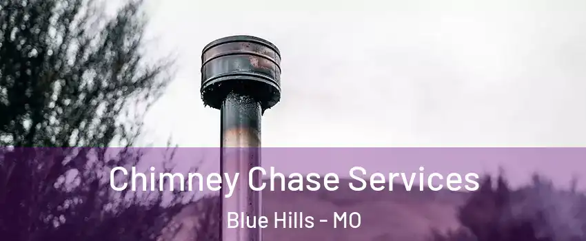 Chimney Chase Services Blue Hills - MO