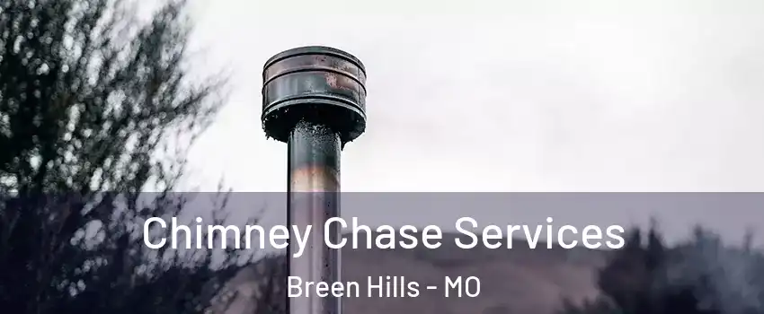 Chimney Chase Services Breen Hills - MO