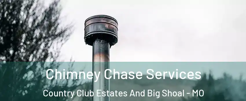 Chimney Chase Services Country Club Estates And Big Shoal - MO