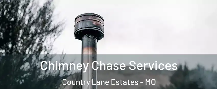 Chimney Chase Services Country Lane Estates - MO