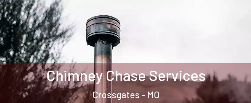 Chimney Chase Services Crossgates - MO