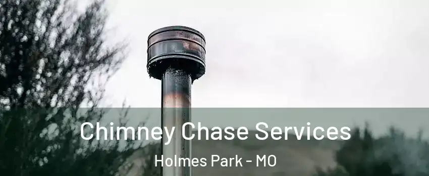 Chimney Chase Services Holmes Park - MO