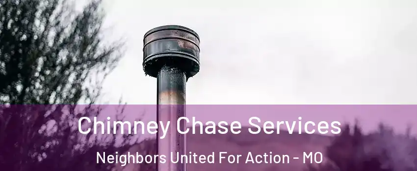 Chimney Chase Services Neighbors United For Action - MO