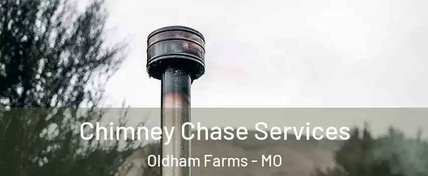 Chimney Chase Services Oldham Farms - MO