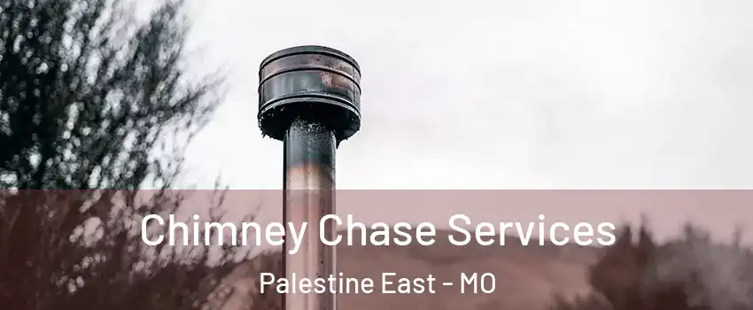 Chimney Chase Services Palestine East - MO