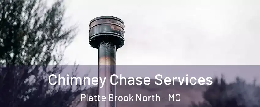 Chimney Chase Services Platte Brook North - MO