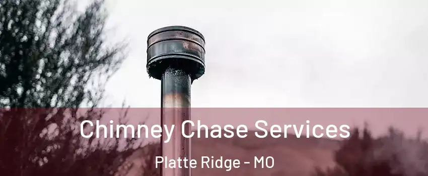 Chimney Chase Services Platte Ridge - MO