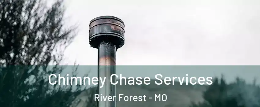 Chimney Chase Services River Forest - MO