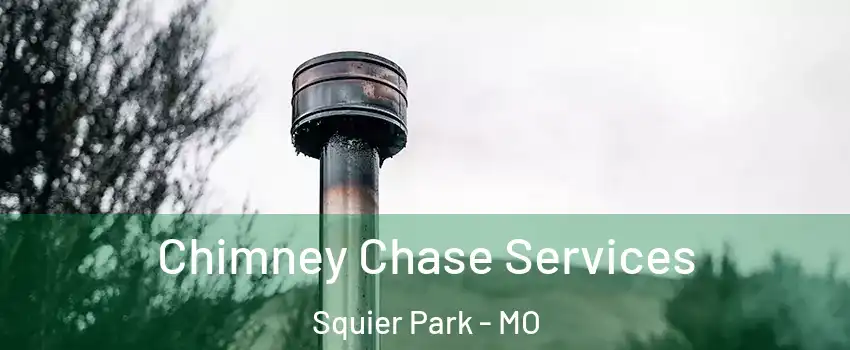 Chimney Chase Services Squier Park - MO