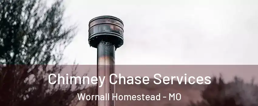 Chimney Chase Services Wornall Homestead - MO