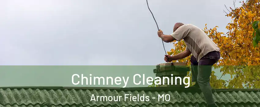 Chimney Cleaning Armour Fields - MO