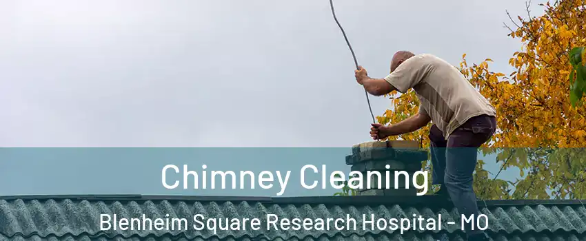 Chimney Cleaning Blenheim Square Research Hospital - MO