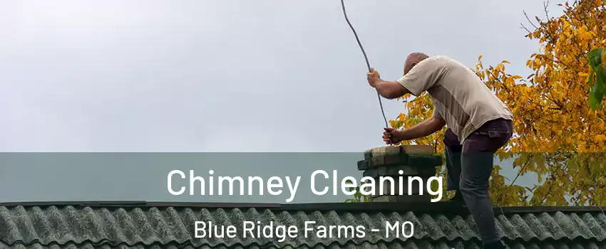 Chimney Cleaning Blue Ridge Farms - MO