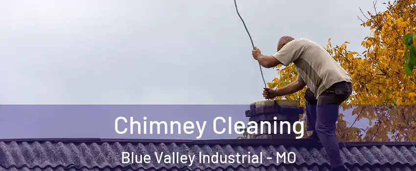 Chimney Cleaning Blue Valley Industrial - MO