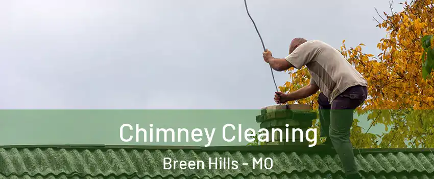 Chimney Cleaning Breen Hills - MO