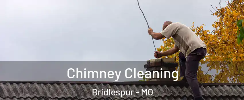 Chimney Cleaning Bridlespur - MO