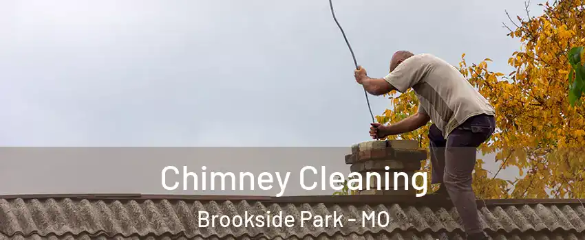 Chimney Cleaning Brookside Park - MO