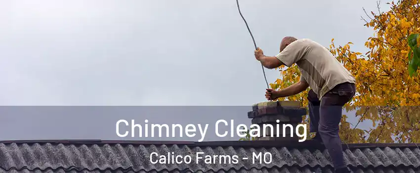 Chimney Cleaning Calico Farms - MO