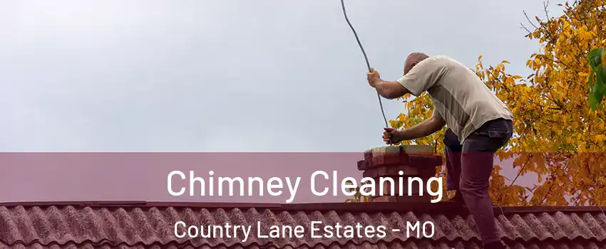 Chimney Cleaning Country Lane Estates - MO