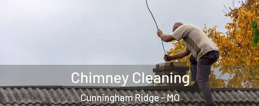 Chimney Cleaning Cunningham Ridge - MO