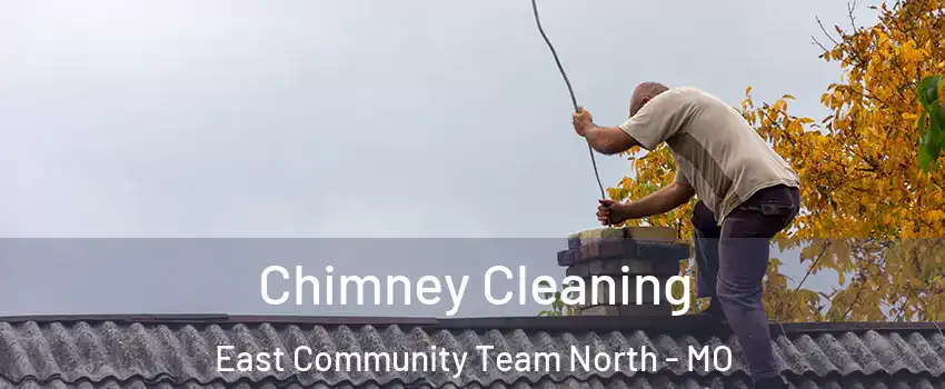 Chimney Cleaning East Community Team North - MO