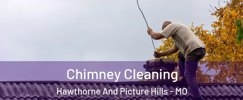 Chimney Cleaning Hawthorne And Picture Hills - MO