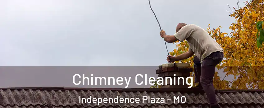 Chimney Cleaning Independence Plaza - MO