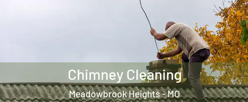 Chimney Cleaning Meadowbrook Heights - MO