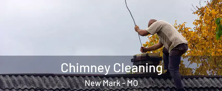 Chimney Cleaning New Mark - MO