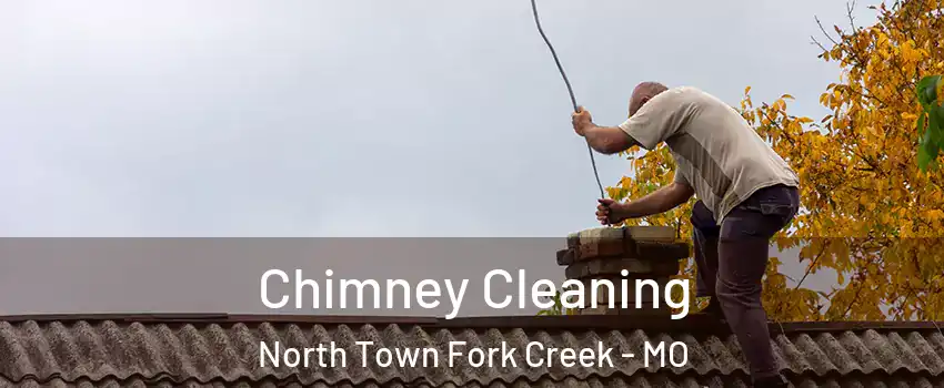 Chimney Cleaning North Town Fork Creek - MO