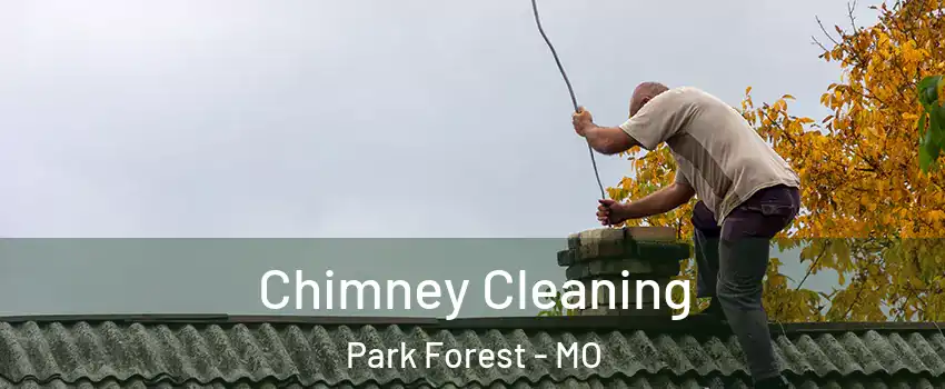 Chimney Cleaning Park Forest - MO