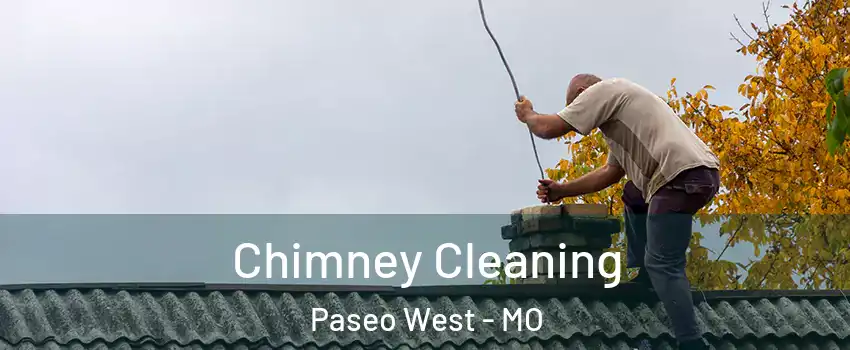 Chimney Cleaning Paseo West - MO