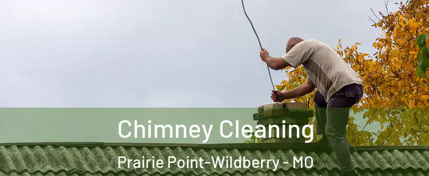 Chimney Cleaning Prairie Point-Wildberry - MO