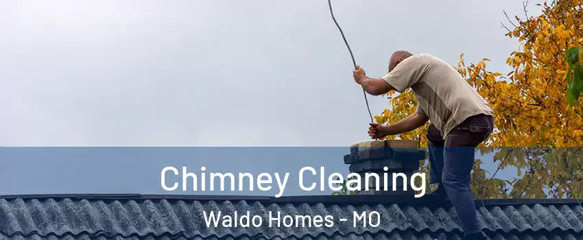 Chimney Cleaning Waldo Homes - MO