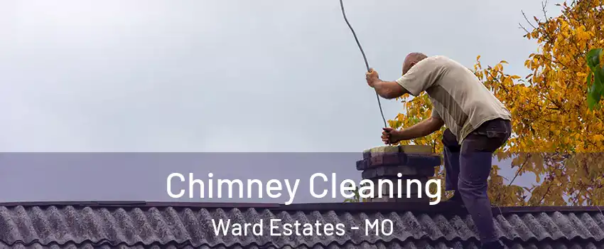 Chimney Cleaning Ward Estates - MO