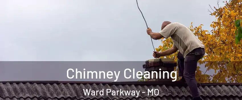 Chimney Cleaning Ward Parkway - MO