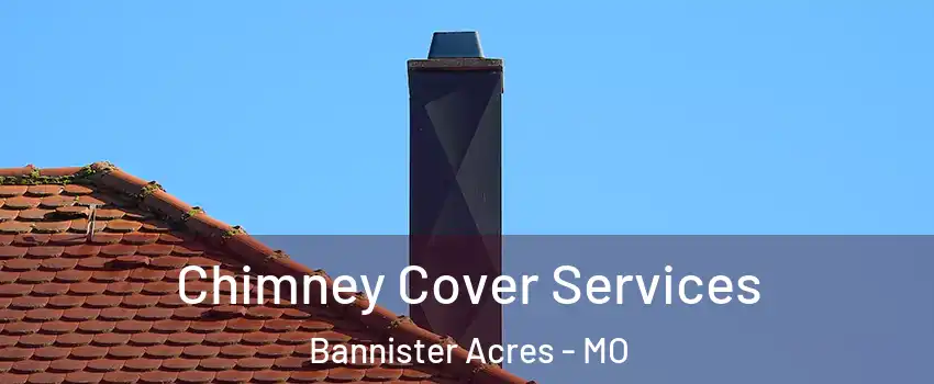 Chimney Cover Services Bannister Acres - MO