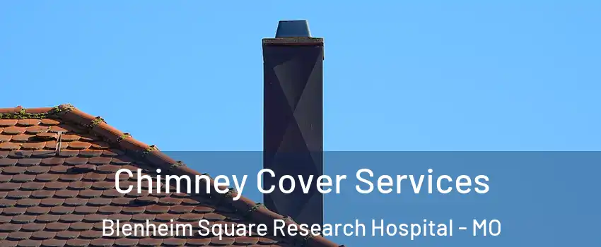 Chimney Cover Services Blenheim Square Research Hospital - MO