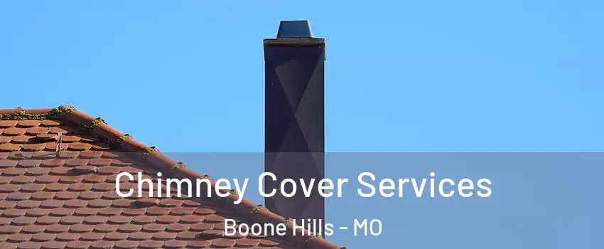 Chimney Cover Services Boone Hills - MO