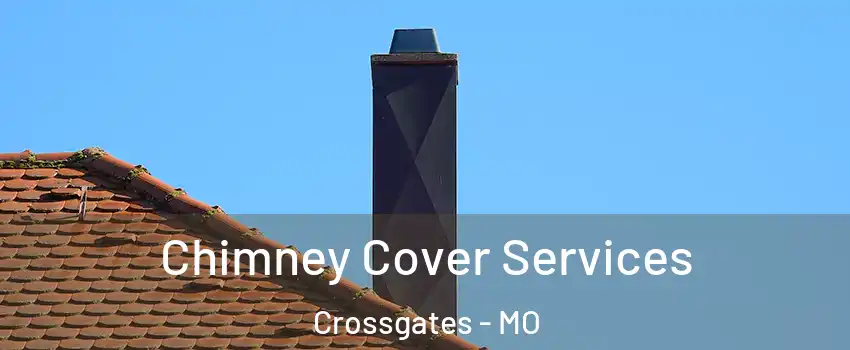 Chimney Cover Services Crossgates - MO