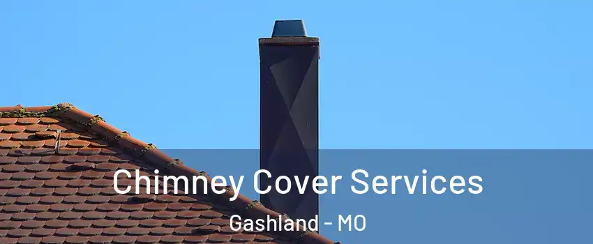 Chimney Cover Services Gashland - MO