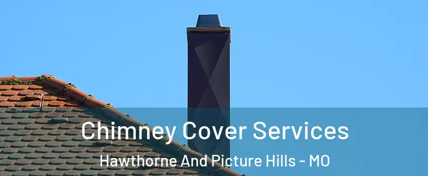 Chimney Cover Services Hawthorne And Picture Hills - MO