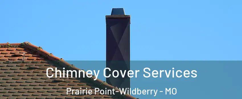 Chimney Cover Services Prairie Point-Wildberry - MO