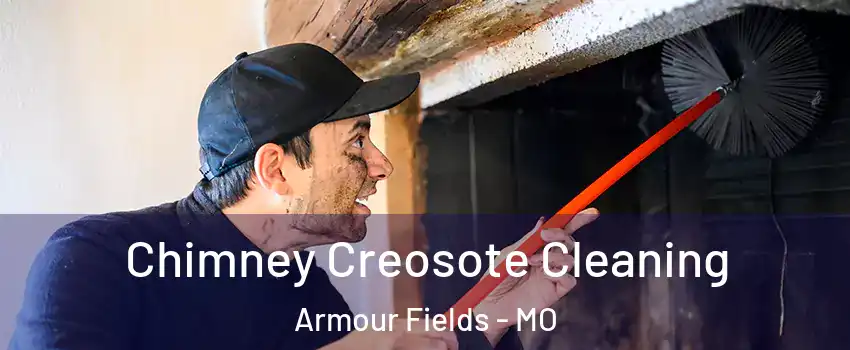 Chimney Creosote Cleaning Armour Fields - MO