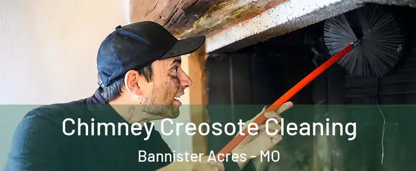 Chimney Creosote Cleaning Bannister Acres - MO